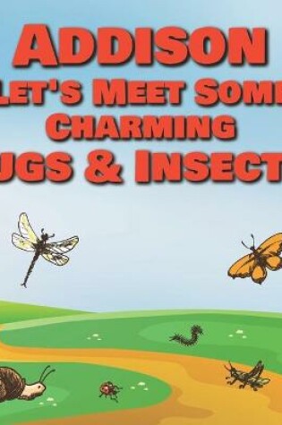 Cover of Addison Let's Meet Some Charming Bugs & Insects!