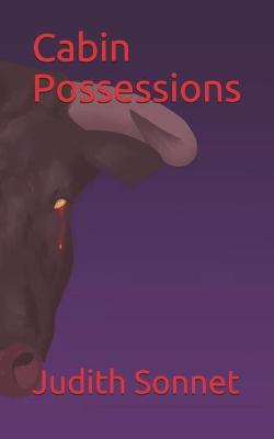 Book cover for Cabin Possessions