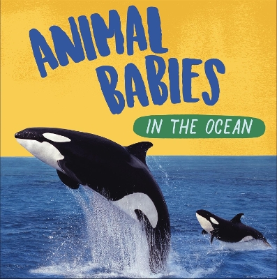 Book cover for Animal Babies: In the Ocean