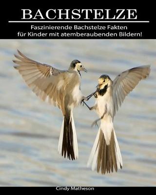 Book cover for Bachstelze