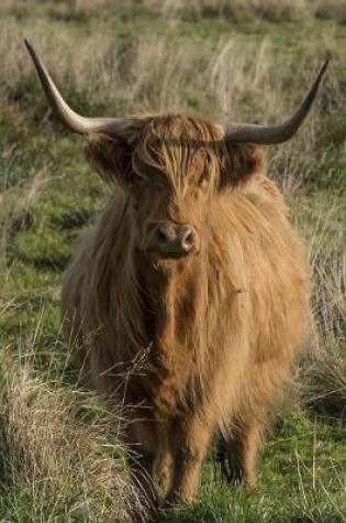 Cover of Scottish Highland Cow in a Meadow Journal