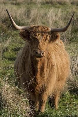 Book cover for Scottish Highland Cow in a Meadow Journal