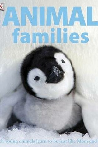 Cover of Animal Families