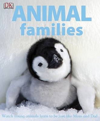 Book cover for Animal Families