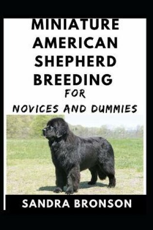 Cover of Miniature American Shepherd Breeding For Novices And Dummies