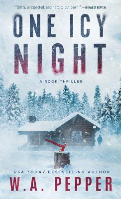 Book cover for One Icy Night