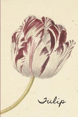 Book cover for Tulip