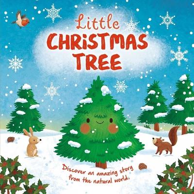Book cover for Nature Stories: Little Christmas Tree