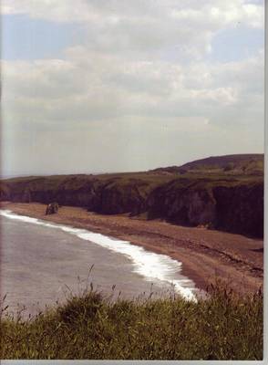 Book cover for Nose's Point