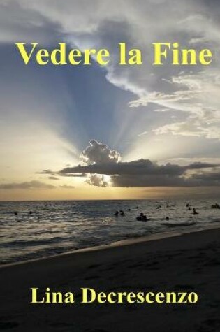 Cover of Vedere la Fine