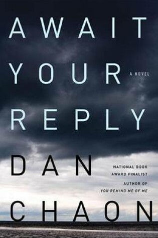 Cover of Await Your Reply: A Novel