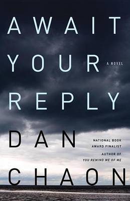 Book cover for Await Your Reply: A Novel