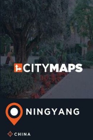 Cover of City Maps Ningyang China