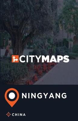 Book cover for City Maps Ningyang China