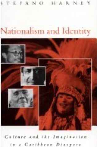 Cover of Nationalism and Identity