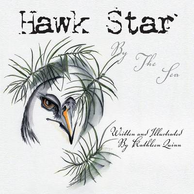 Book cover for Hawk Star By The Sea