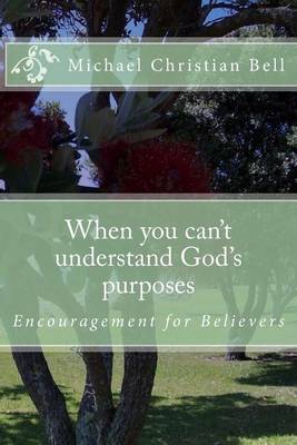 Book cover for When you can't understand God's purposes