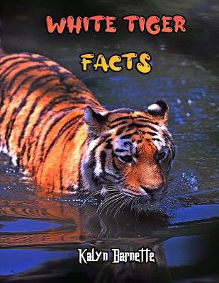 Book cover for White Tiger Facts
