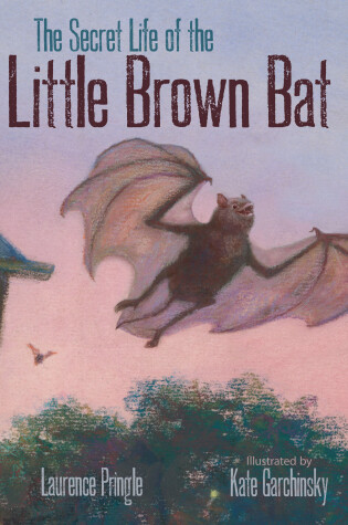 Cover of The Secret Life of the Little Brown Bat
