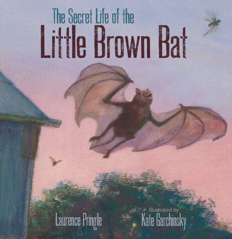 Book cover for The Secret Life of the Little Brown Bat