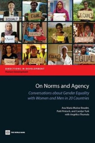 Cover of On Norms and Agency