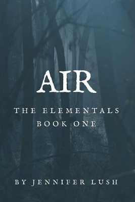 Book cover for Air