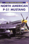 Book cover for North American P-51 Mustang