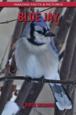 Cover of Blue Jay