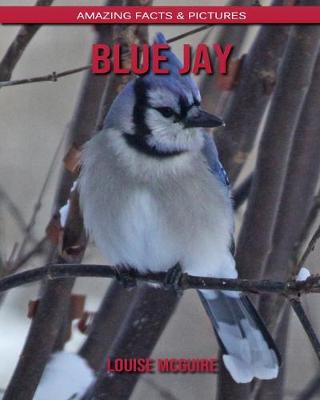 Book cover for Blue Jay