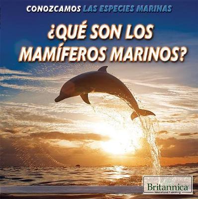 Book cover for ¿Qué Son Los Mamíferos Marinos? (What Are Sea Mammals?)