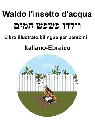 Book cover for Italiano-Ebraico Waldo l'insetto d'acqua Libro illustrato bilingue per bambini