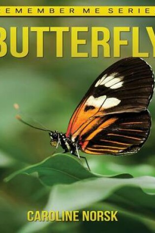 Cover of Butterflies