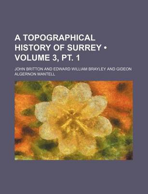 Book cover for A Topographical History of Surrey (Volume 3, PT. 1)