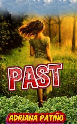 Book cover for Past