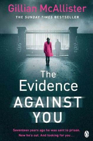 Cover of The Evidence Against You