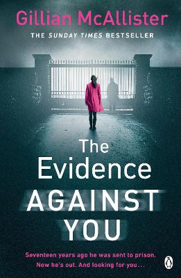 Book cover for The Evidence Against You