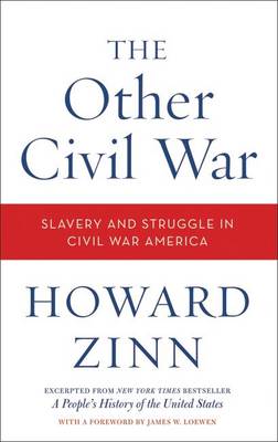 Book cover for The Other Civil War