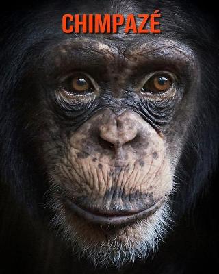 Book cover for Chimpazé