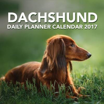 Book cover for Dachshund