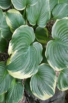 Book cover for Backyard Hosta Journal