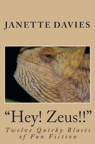 Cover of "Hey! Zeus!!"