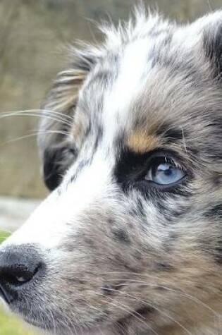 Cover of Beautiful Blue Eyed Australian Shepherd Journal