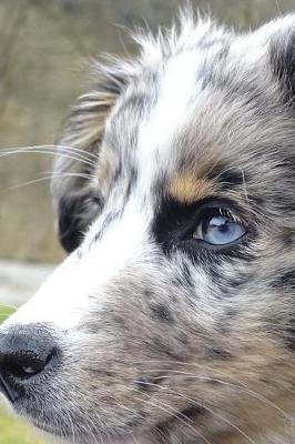 Book cover for Beautiful Blue Eyed Australian Shepherd Journal