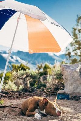 Book cover for Camping Dog Under Umbrella