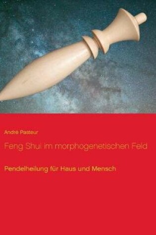 Cover of Feng Shui im morphogenetischen Feld