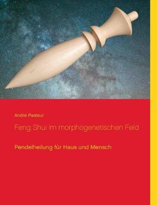 Book cover for Feng Shui im morphogenetischen Feld