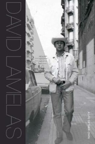 Cover of David Lamelas - A Life of Their Own