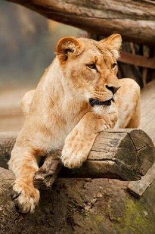 Cover of A Lioness Watching Out, for the Love of Animals