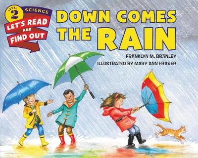 Book cover for Down Comes the Rain