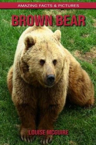 Cover of Brown Bear